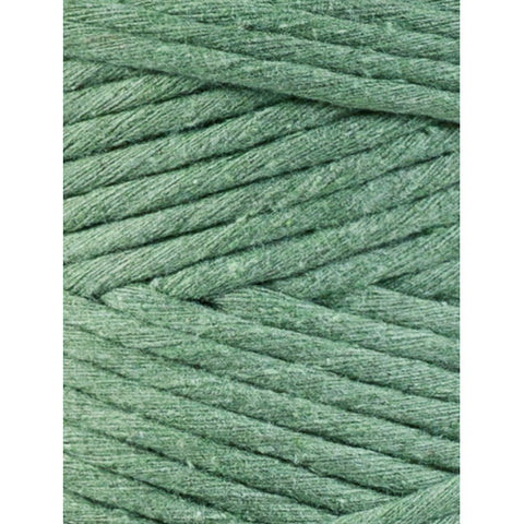 Vert Eucalyptus / CORDON MACRAMÉ 3MM 100M